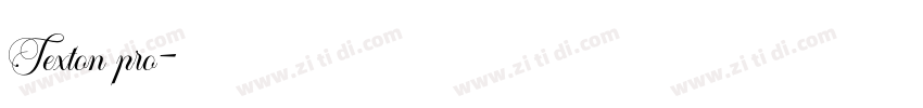 Texton pro字体转换